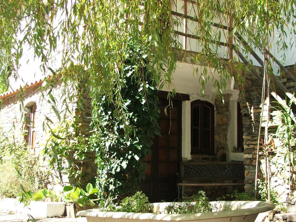 Chao Da Lousa Dornes Extérieur photo